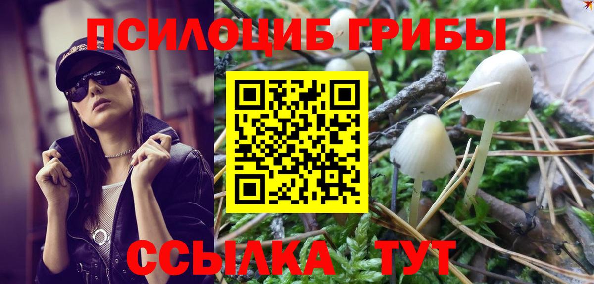 Галлюциногенные грибы Psilocybe Похвистнево